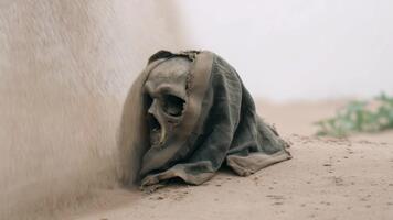 woestijn schedel gedrapeerd in gescheurd kleding stof, symboliseert verlies, verval, en de passage van tijd, met dun vegetatie en een neutrale achtergrond voor minimalistische thema video