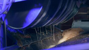 Automated line for production healthy food products. Rotating mechanism at a food factory with fresh juice dripping from it. Close up. video