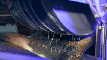 Apple juice dripping from the rotating shaft. Machine squeezing fruit at automated line of food factory. Close up. video