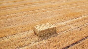 hö bal i en form av parallellepiped i de fält. cirkel rörelse över de sugrör packa med gradvis stigande. video