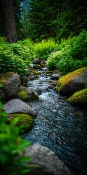 Gently flowing stream surrounded by lush greenery in a serene natural landscape photo
