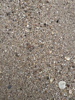 Textural Tapestry of Tiny Shells and Sand Grains on the Shoreline Composition photo