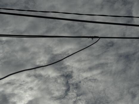 Overhead Wires Against a Somber Sky, A Study in Lines and Atmospheric Perspective photo