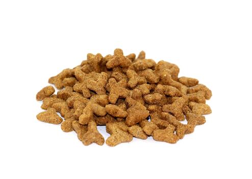 seco gato alimento, triangular forma, aislado en blanco antecedentes. foto