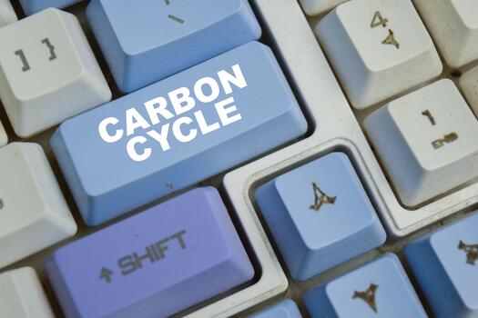 Carbon cycle - process in which carbon atoms continually travel from the atmosphere to the earth button on the keyboard photo