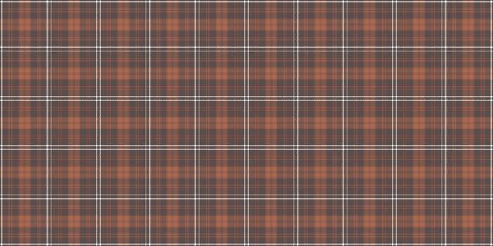 cálido, atractivo tartán textura. ideal para otoñal diseños, tradicional temas, o acogedor antecedentes. utilizar en textiles, web diseño o impresión proyectos vector