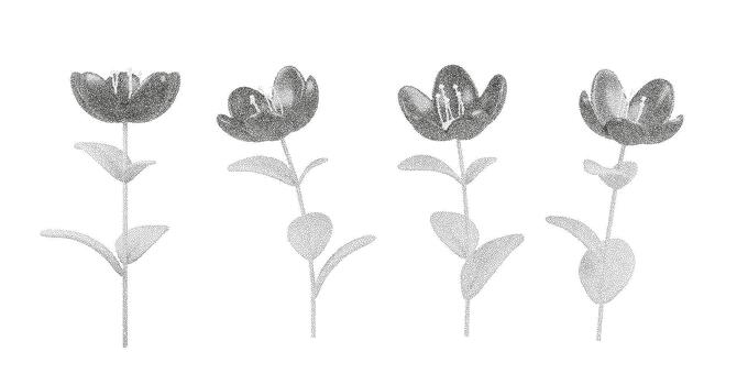 Dot grain flowers shaped with stipple noise feel like delicate 3D botanical sketches. Halftone texture, dusty fade and smooth gradient give the composition a graphic, retro-inspired floral look vector