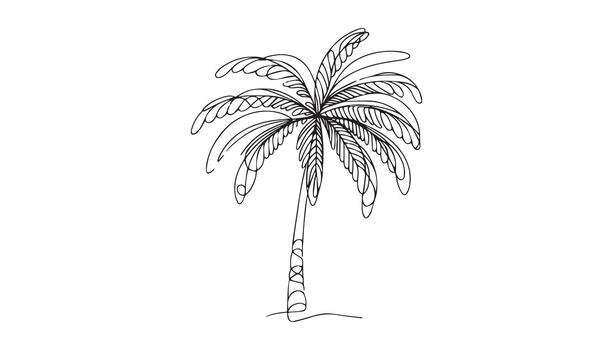 a drawing of a palm tree on a white background vector