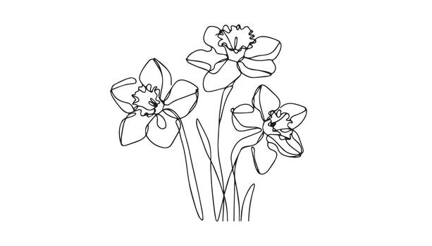 a drawing of three daffodils on a white background vector