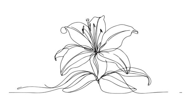 a continuous line drawing of lily on white background vector