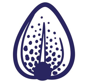 Simple abstract graphic illustration of a seed design in navy blue color on white background vector