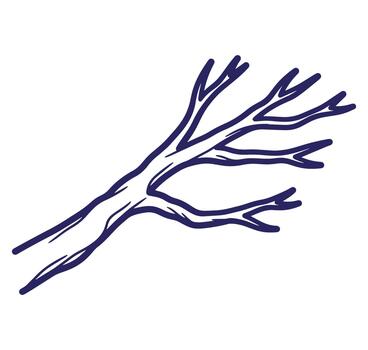 Simple hand drawn illustration of a tree branch in a clean minimalist style on white background vector