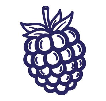 Dark blue outlined raspberry illustration isolated on white background for design projects vector