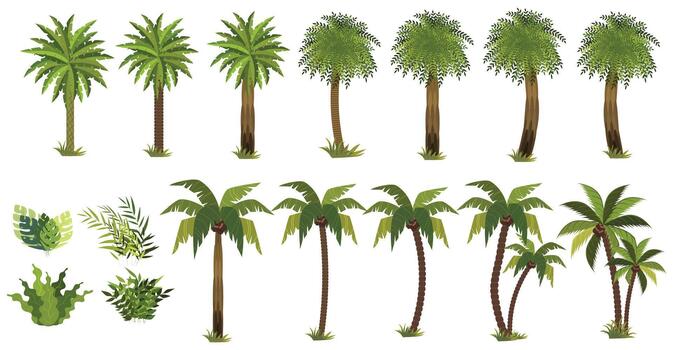 un colección de varios palma arboles y verde plantas exhibiendo diferente tamaños y especies. vector