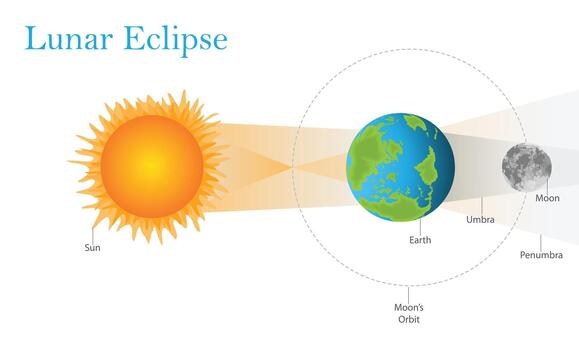 diagrama ilustrando el alineación de el sol, tierra, y Luna durante un lunar eclipse. vector