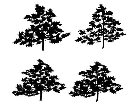 A collection of four distinct black silhouette illustrations of trees, each with a unique branching pattern and textured foliage, presented against a clean white background. vector