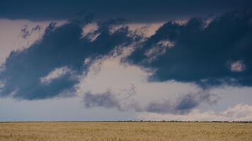 lunatico cielo con buio cumulonembo nuvole durante mutevole tempo metereologico modelli video