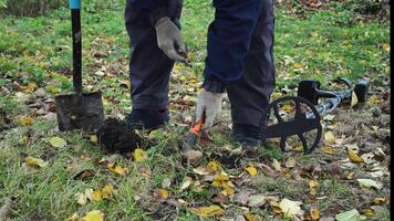 i en parkera täckt i fallen löv, en person användningar en metall detektor, försiktigt grävning in i de jord med en små verktyg, hoppas till Upptäck dold objekt. video
