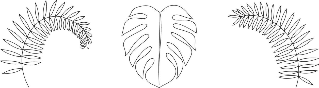 Three different types of leaves are shown vector