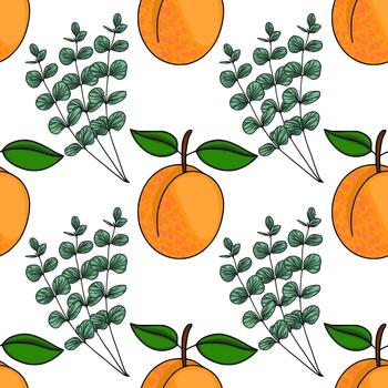 Seamless pattern of ripe apricots and eucalyptus branches with green leaves on a white background. vector