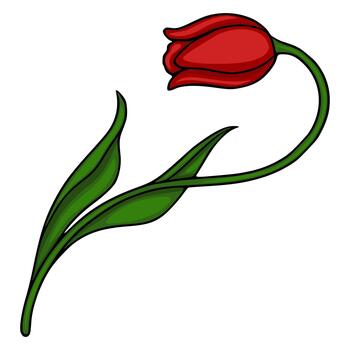 A stylized illustration of a single red tulip with flowing green leaves and stem, isolated on a white background, capturing a sense of elegant simplicity and botanical beauty. vector