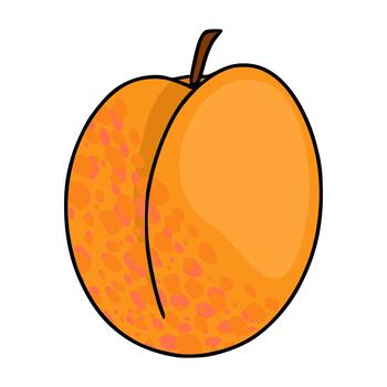 Stylized illustration of a ripe apricot with textured skin and a smooth, gradient filled surface, isolated on a white background. vector