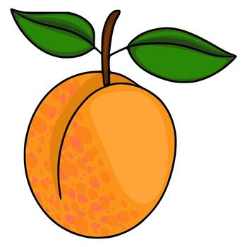 A stylized illustration of a ripe apricot with two green leaves, featuring a textured surface with subtle pinkish orange spots and a smooth gradient on the main body, set against a clean whi... vector