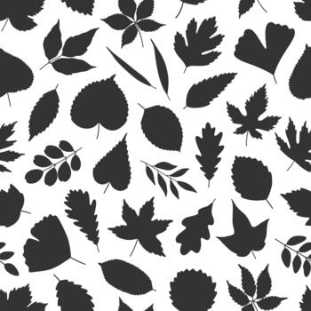 Seamless pattern with black silhouettes of various leaves. Leaf of maple, linden, birch, hawthorn, and ginkgo on white. Template for textile, package, wrapping paper, minimal illustration vector