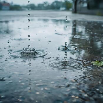 raindrops in a puddle of water photo