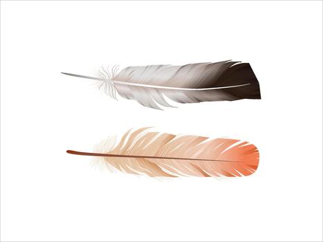 Bird falling feather isolated on white background illustration showing natural light soft plumage element, delicate flying design for decorative nature and artistic projects. vector