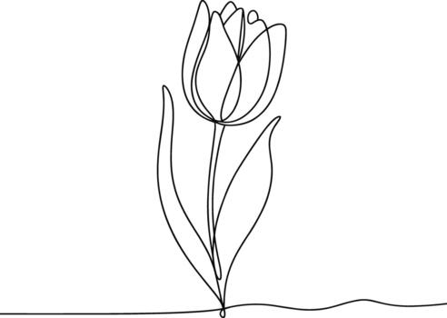 Elegant tulip flower in single continuous line drawing style vector