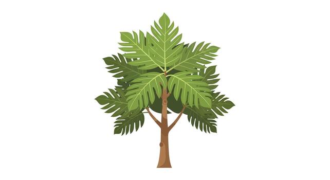 Isolated illustration of a lush green tree with broad leaves and a sturdy brown trunk against a white background, representing nature and botanical elements vector