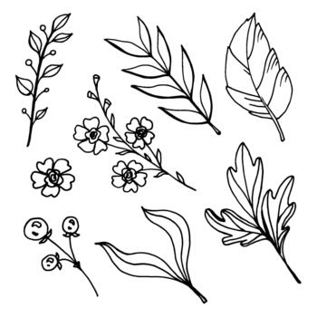 Hand drawn set of botanical line art elements leaves, branches and flowers. Perfect for coloring pages, floral design, logos, invitations, patterns, crafts and creative projects. vector