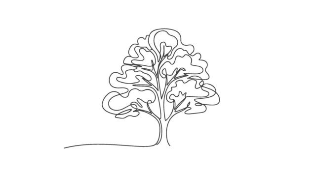 Continuous single line drawing of a stylized oak tree with flowing branches and leaves, a simple elegant illustration vector