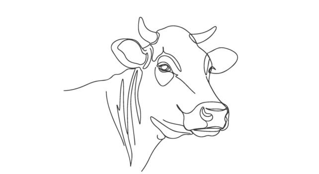 Elegant portrait of a cow's head created with a single continuous line, a modern and minimalist farm animal illustration for design vector