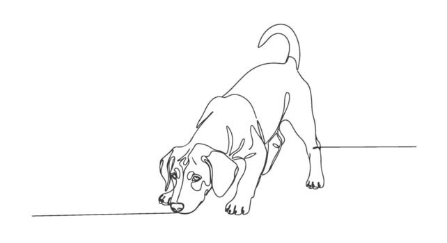 soltero línea continuo dibujo de un curioso perro en acción 2 vector