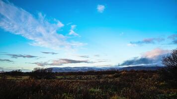 fält med träd och bergen i de bakgrund video