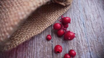 Slow motion macro of red berries and rustic jute fabric as the camera gently moves downward, creating a warm seasonal atmosphere video