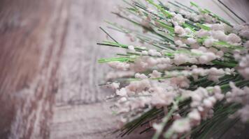 Slow motion macro shot of frosted pine branches on wooden table as the camera moves left, creating a natural Christmas background texture video