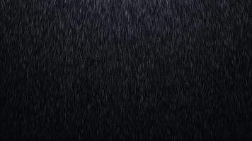 mörk realistisk regn faller på en svart bakgrund. sömlös slinga animering av tung regn, perfekt för väder effekter, filmiska scener, humör bakgrunder, och atmosfärisk visuell projekt video