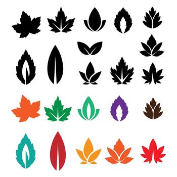 Bundle collection set design set of different leaf silhouettes vector