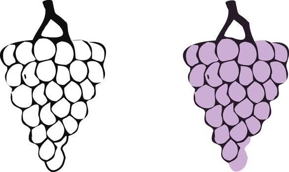 uva racimo contorno y de colores ilustración. vector