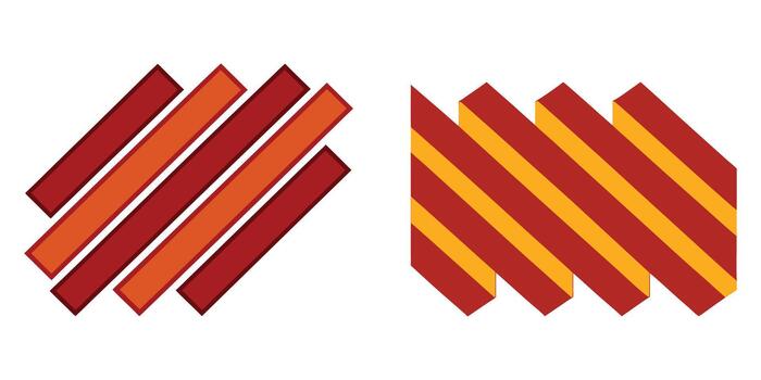 Two geometric patterns with diagonal stripes isolated on white background vector