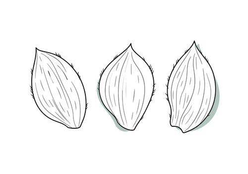 Collection of different versions of a doctor and intestines icon for medical presentations. vector