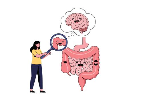 médico es examinando el humano digestivo sistema con un grande aumentador vaso a encontrar un problema. vector