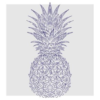 a pineapple with a pattern on it vector