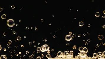 Magical floating bubbles drift and shimmer against a dark background, creating a whimsical, ethereal atmosphere. video