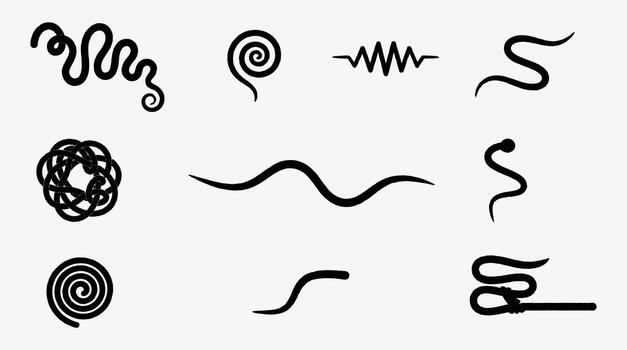 Collection of abstract curvy and spiral shapes on a white background vector