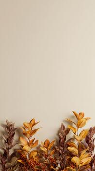 Beautiful autumn leaves against a plain background photo