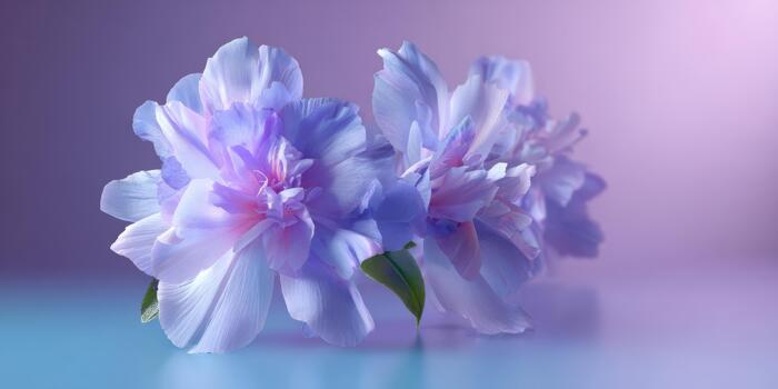 Beautiful pastel flowers bloom against a soft gradient backdrop photo